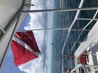 Great day of scuba diving in Key Largo with Rainbow Reef on eagle ray alley tropical serenity 2020 06 01 r9431 1