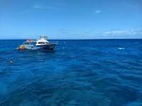 Great day of scuba diving in Key Largo with Rainbow Reef on eagle ray alley tropical serenity 2020 06 26 r9643 1