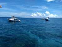 Great day of scuba diving in Key Largo with Rainbow Reef on eagle ray alley tropical voyager 2020 06 21 r9580 1