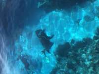 Great day of scuba diving in Key Largo with Rainbow Reef on fire coral cave tropical legend 2020 06 22 r9584 2