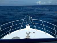 Great day of scuba diving in Key Largo with Rainbow Reef on french reef tropical adventure 2020 06 13 r9500 1