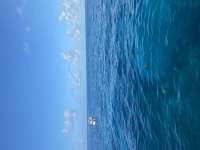 Great day of scuba diving in Key Largo with Rainbow Reef on french reef tropical legend 2020 06 23 r9593 1