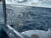 Great day of scuba diving in Key Largo with Rainbow Reef on french reef tropical serenity 2020 06 26 r9636 1