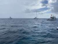 Great day of scuba diving in Key Largo with Rainbow Reef on hole in the wall tropical serenity 2020 06 20 r9565 1