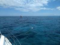 Great day of scuba diving in Key Largo with Rainbow Reef on hole in the wall tropical voyager 2020 06 20 r9569 1