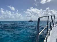 Great day of scuba diving in Key Largo with Rainbow Reef on sand island tropical adventure 2020 06 27 r9646 1