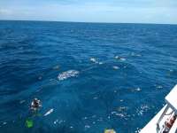 Great day of scuba diving in Key Largo with Rainbow Reef on snapper ledge santana 2020 06 25 r9628 1