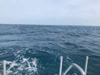 Great day of scuba diving in Key Largo with Rainbow Reef on snapper ledge tropical legend 2020 06 05 r9445 1