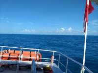 Great day of scuba diving in Key Largo with Rainbow Reef on snapper ledge tropical serenity 2020 06 09 r9464 1
