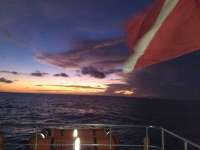 Great day of scuba diving in Key Largo with Rainbow Reef on snapper ledge tropical serenity 2020 06 09 r9474 1