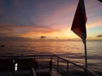 Great day of scuba diving in Key Largo with Rainbow Reef on snapper ledge tropical serenity 2020 06 20 r9571 1