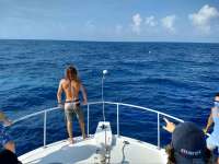 Great day of scuba diving in Key Largo with Rainbow Reef on spiegel grove tropical destiny 2020 06 08 r9455 1