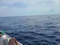 Great day of scuba diving in Key Largo with Rainbow Reef on spiegel grove tropical explorer 2020 06 08 r9461 1