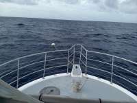 Great day of scuba diving in Key Largo with Rainbow Reef on spiegel grove tropical odyssey 2020 06 19 r9557 1