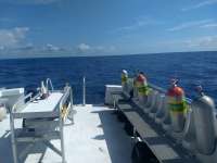 Great day of scuba diving in Key Largo with Rainbow Reef on spiegel grove tropical voyager 2020 06 10 r9478 1
