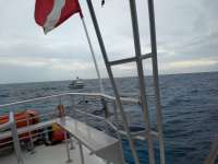Great day of scuba diving in Key Largo with Rainbow Reef on winch hole tropical serenity 2020 06 04 r9441 1