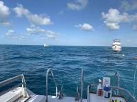 Great day of scuba diving in Key Largo with Rainbow Reef on benwood wreck tropical destiny 2020 03 15 r9369 1