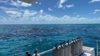Great day of scuba diving in Key Largo with Rainbow Reef on christ statue tropical legend 2020 03 18 r9388 1