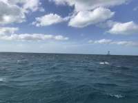 Great day of scuba diving in Key Largo with Rainbow Reef on eagle ray alley tropical serenity 2020 03 07 r9344 1