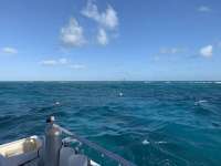 Great day of scuba diving in Key Largo with Rainbow Reef on eagle ray alley tropical serenity 2020 03 19 r9392 1