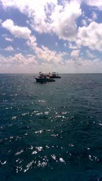 Great day of scuba diving in Key Largo with Rainbow Reef on french reef tropical legend 2020 03 21 r9404 1