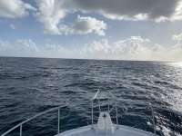 Great day of scuba diving in Key Largo with Rainbow Reef on molasses reef santana 2020 03 11 r9349 1
