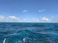 Great day of scuba diving in Key Largo with Rainbow Reef on molasses reef tropical serenity 2020 03 14 r9362 1