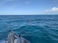 Great day of scuba diving in Key Largo with Rainbow Reef on snapper ledge tropical destiny 2020 03 13 r9358 1