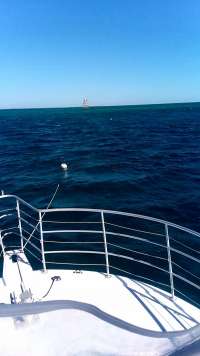 Great day of scuba diving in Key Largo with Rainbow Reef on snapper ledge tropical legend 2020 03 01 r9321 1