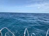 Great day of scuba diving in Key Largo with Rainbow Reef on snapper ledge tropical serenity 2020 03 03 r9330 1