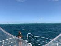 Great day of scuba diving in Key Largo with Rainbow Reef on spanish anchor tropical legend 2020 03 07 r9341 1