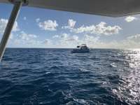 Great day of scuba diving in Key Largo with Rainbow Reef on spiegel grove tropical odyssey 2020 03 22 r9408 1