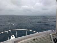 Great day of scuba diving in Key Largo with Rainbow Reef on spiegel grove tropical destiny 2020 05 24 r9419 1