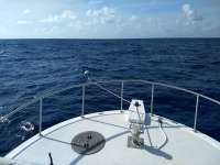 Great day of scuba diving in Key Largo with Rainbow Reef on spiegel grove tropical destiny 2020 05 30 r9421 1