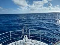 Great day of scuba diving in Key Largo with Rainbow Reef on benwood wreck tropical legend 2020 11 01 r10273 1