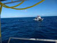 Great day of scuba diving in Key Largo with Rainbow Reef on benwood wreck tropical legend 2020 11 15 r10290 1