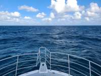 Great day of scuba diving in Key Largo with Rainbow Reef on benwood wreck tropical legend 2020 11 24 r10332 1