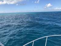 Great day of scuba diving in Key Largo with Rainbow Reef on christ statue tropical destiny 2020 11 23 r10327 1