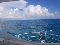 Great day of scuba diving in Key Largo with Rainbow Reef on christ statue tropical odyssey 2020 11 01 r10279 1