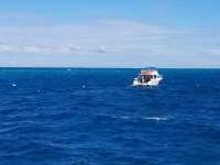 Great day of scuba diving in Key Largo with Rainbow Reef on drift french tropical voyager 2020 11 17 r10303 1