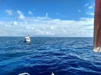 Great day of scuba diving in Key Largo with Rainbow Reef on drift molasses tropical voyager 2020 11 28 r10345 1
