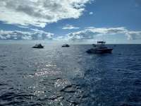 Great day of scuba diving in Key Largo with Rainbow Reef on drift molasses tropical voyager 2020 11 28 r10351 1