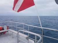 Great day of scuba diving in Key Largo with Rainbow Reef on eagle ray alley santana 2020 11 13 r10284 1
