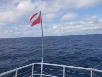 Great day of scuba diving in Key Largo with Rainbow Reef on eagle ray alley tropical adventure 2020 11 02 r10280 1