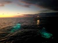 Great day of scuba diving in Key Largo with Rainbow Reef on eagle ray alley tropical destiny 2020 11 28 r10352 1