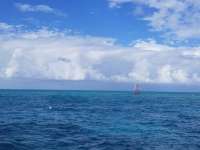 Great day of scuba diving in Key Largo with Rainbow Reef on eagle ray alley tropical voyager 2020 11 16 r10299 1