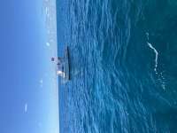 Great day of scuba diving in Key Largo with Rainbow Reef on fire coral cave tropical adventure 2020 11 29 r10357 1