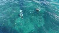 Great day of scuba diving in Key Largo with Rainbow Reef on fire coral cave tropical voyager 2020 11 14 r10287 1