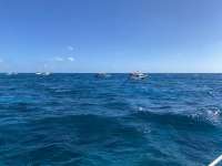 Great day of scuba diving in Key Largo with Rainbow Reef on molasses reef tropical adventure 2020 11 26 r10336 1