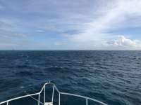 Great day of scuba diving in Key Largo with Rainbow Reef on permit ledges santana 2020 11 17 r10300 1